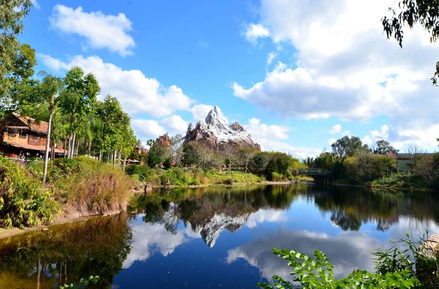 Lire la suite à propos de l’article Disney Animal Kingdom, le plus beau parc d’attractions d’Orlando