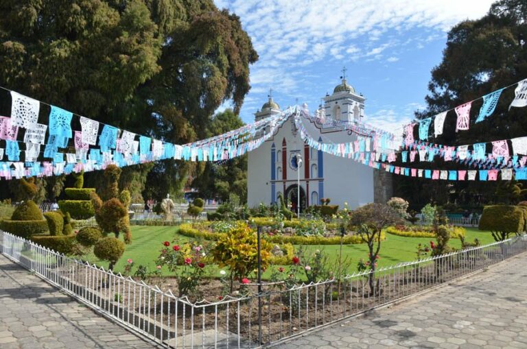 Lire la suite à propos de l’article D’El arbol de Tule à Teotitlan del Valle, le mystère aztèque continue près d’Oaxaca