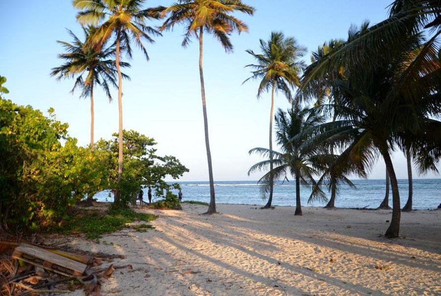 You are currently viewing Guadeloupe – Toutes mes astuces et conseils