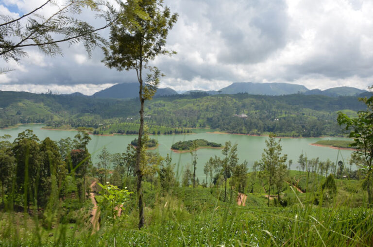 Lire la suite à propos de l’article Paysages bucoliques autour d’Adam’s Peak