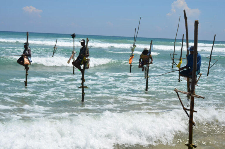 Lire la suite à propos de l’article Comment voir les pêcheurs à pied à Unawatuna avant de visiter l’ancienne ville coloniale de Galle