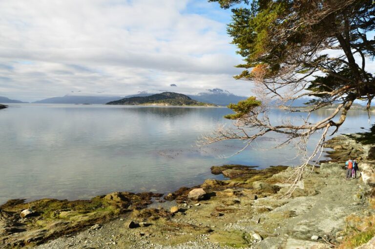 Lire la suite à propos de l’article Parc national de la Terre de Feu, une des plus belles randonnées de la Patagonie argentine