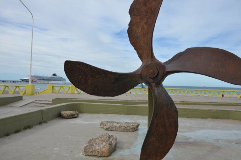Lire la suite à propos de l’article De Ushuaia à Puerto Madryn, bienvenue à la péninsule de Valdes