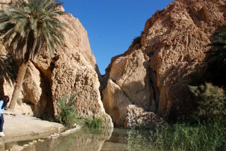 Lire la suite à propos de l’article De Tozeur à Chebika, bienvenue dans les oasis de montagne de l’Atlas tunisien