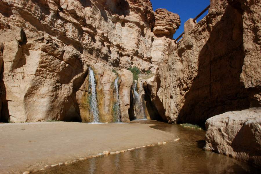 Lire la suite à propos de l’article Le long de l’oued et du djebel de Tamerza, dans l’Atlas tunisien