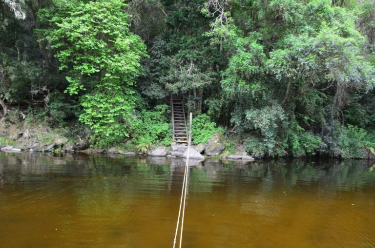Lire la suite à propos de l’article Garden Route, Wilderness National Park et arrivée tardive à Knysna
