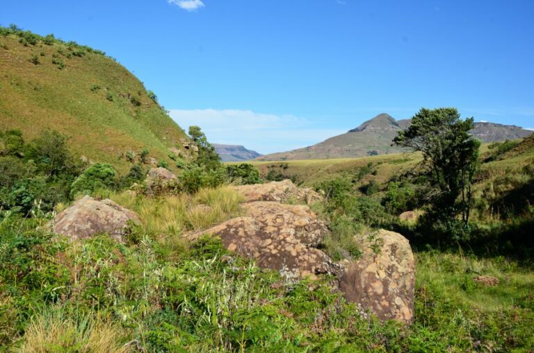 Lire la suite à propos de l’article Drakensberg nord, bienvenue au Royal Natal National Park