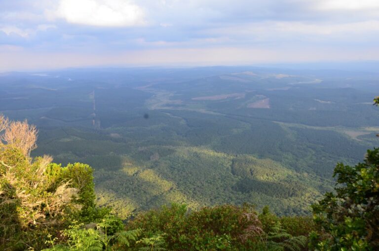 Lire la suite à propos de l’article Blyde River Canyon Nature Reserve, God’s window