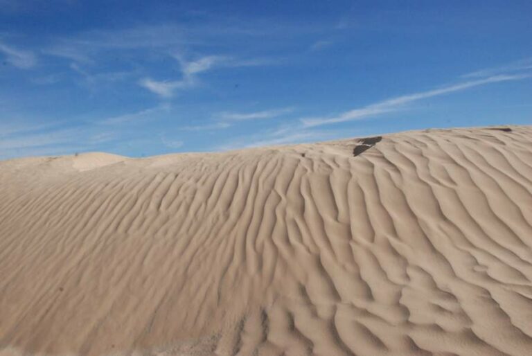 Lire la suite à propos de l’article En plein cœur du Sahara avec les nomades tunisiens