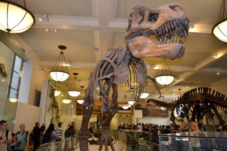 Lire la suite à propos de l’article L’incroyable muséum d’histoire naturelle de New York