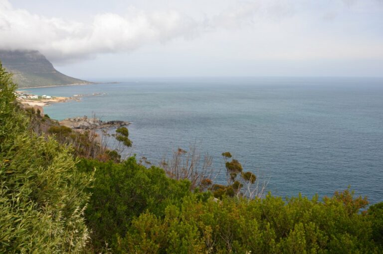 Lire la suite à propos de l’article La péninsule du Cap, le long de la Chapman’s Peak Drive