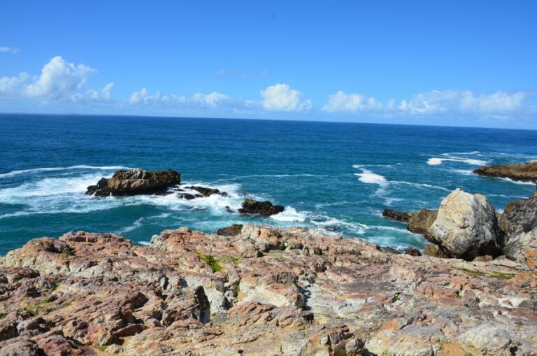 Lire la suite à propos de l’article Dans la Province du Cap, les baleines franches d’Hermanus