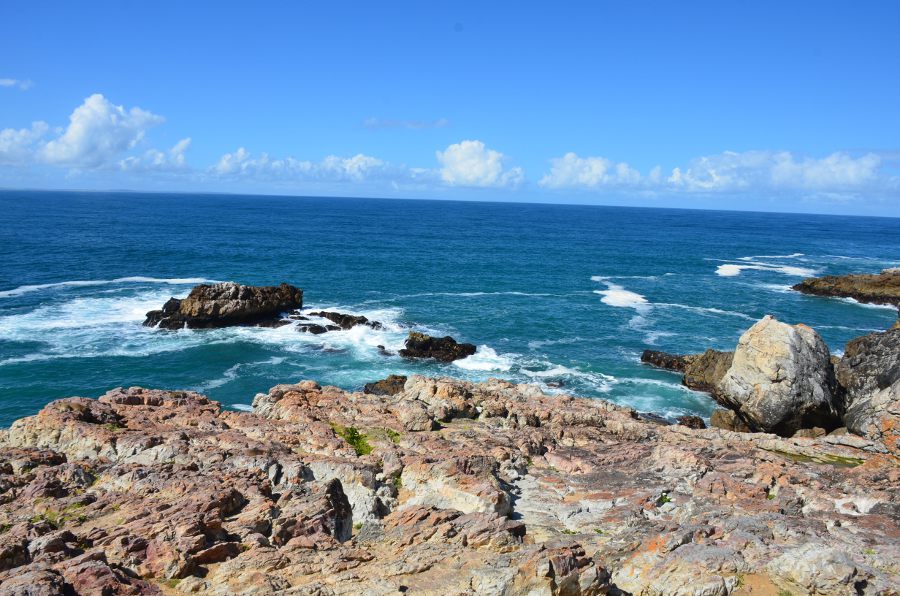 You are currently viewing Dans la Province du Cap, les baleines franches d’Hermanus