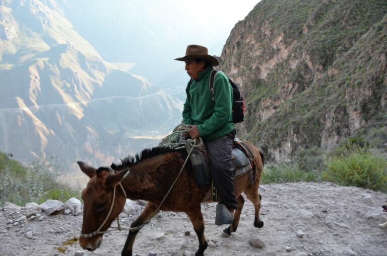 Lire la suite à propos de l’article La très difficile ascension du canyon de Colca