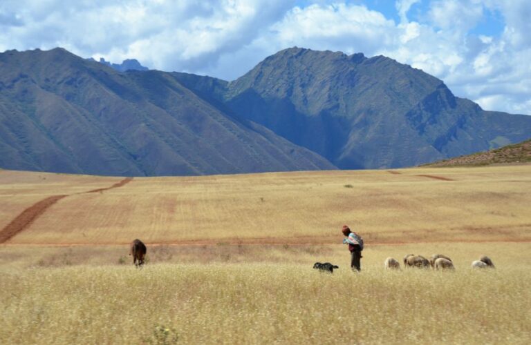 Lire la suite à propos de l’article De la vallée sacrée des Incas à Cuzco