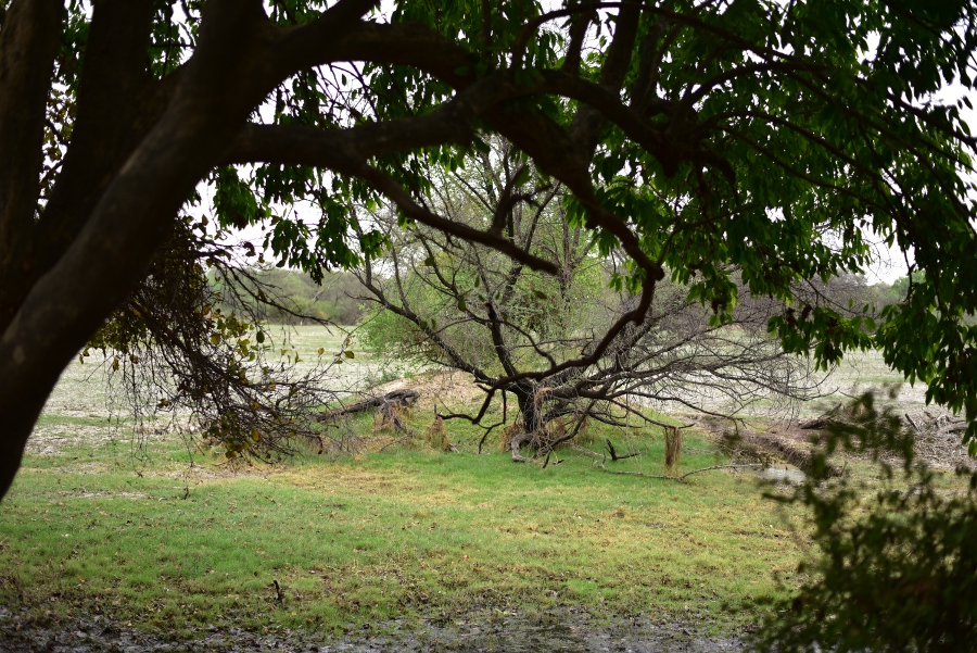 You are currently viewing En Agra et Jaipur, à l’assaut du Bharatpur National Park