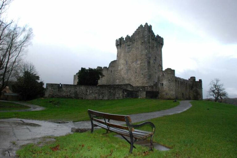 Lire la suite à propos de l’article Comté de Kerry, road trip autour de Killarney