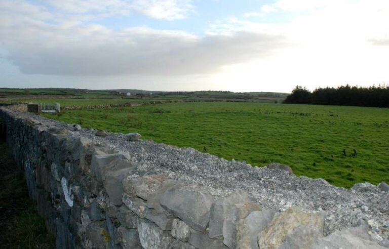 Lire la suite à propos de l’article Comté de Clare, la région du Burren