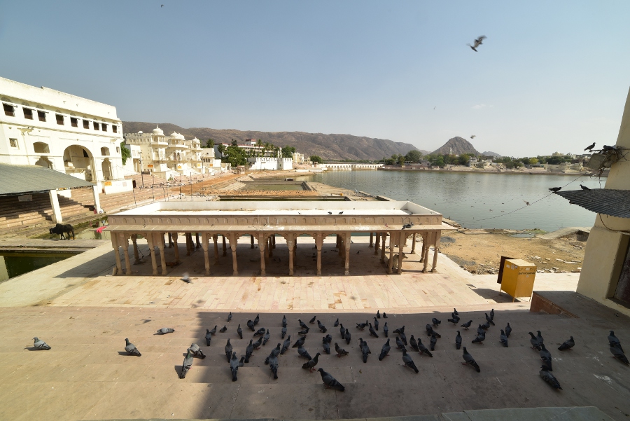Lire la suite à propos de l’article Pushkar, un moment de méditation autour des ghâts