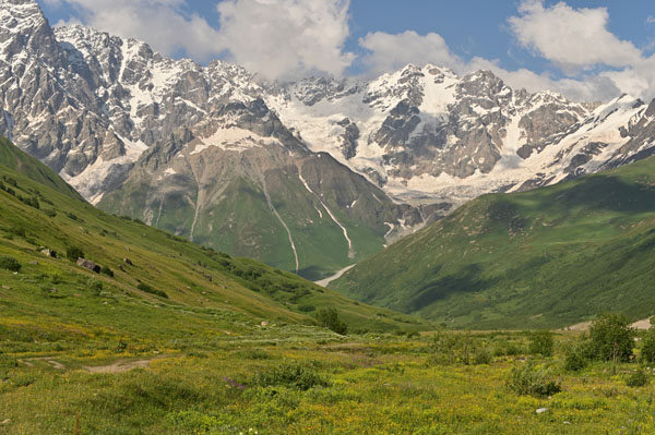 Lire la suite à propos de l’article Au pied du glacier Shkhara, une montagne de légende