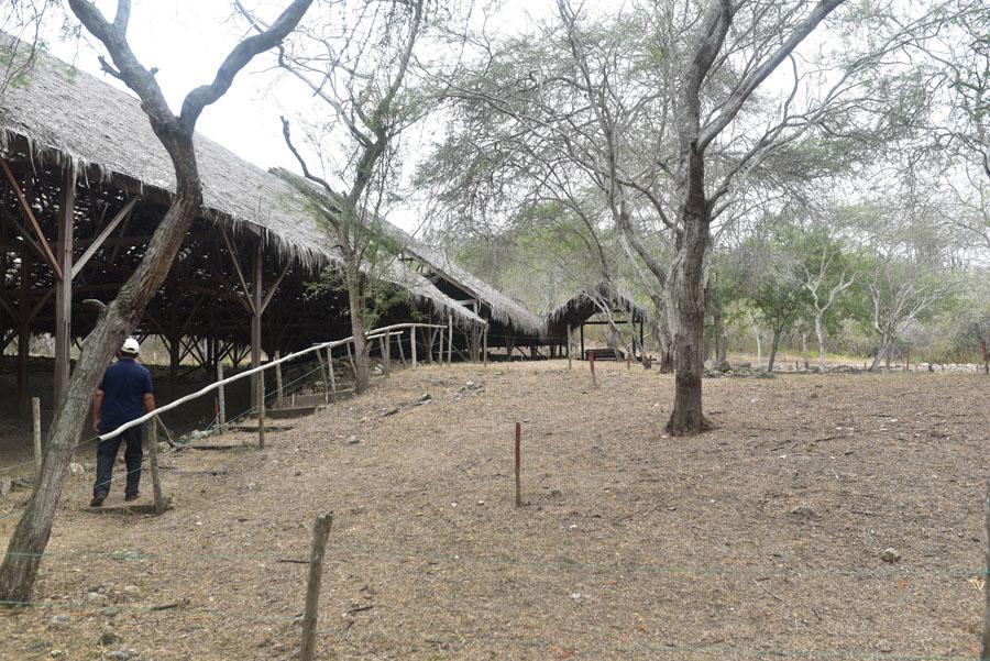 Lire la suite à propos de l’article Une excursion au parc archéologique Agua Blanca