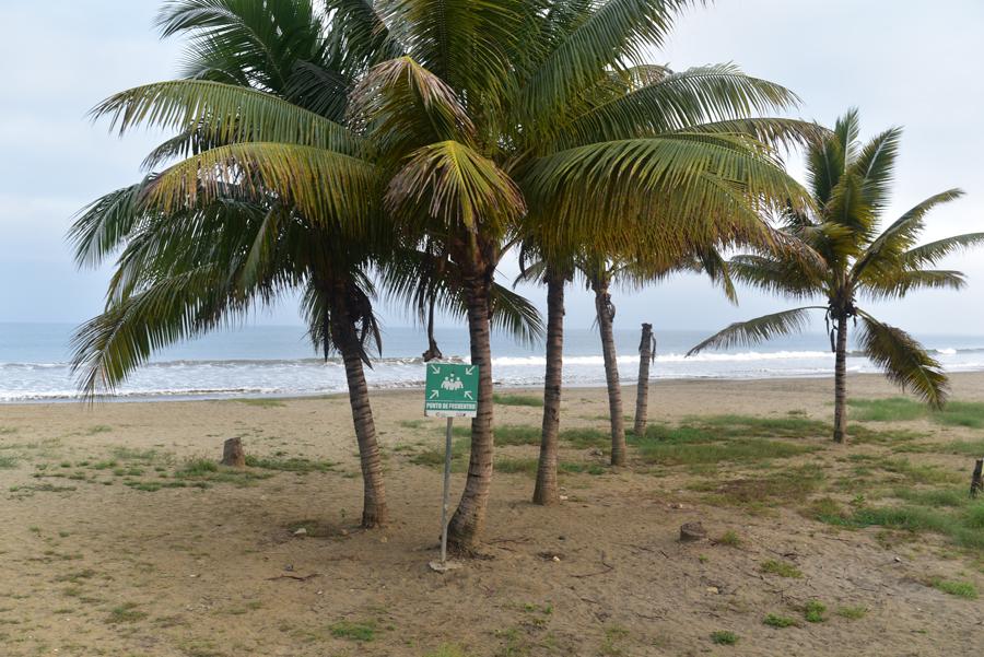 Lire la suite à propos de l’article De Puerto Lopez à Otavalo, de l’océan aux forêt de Ceibos