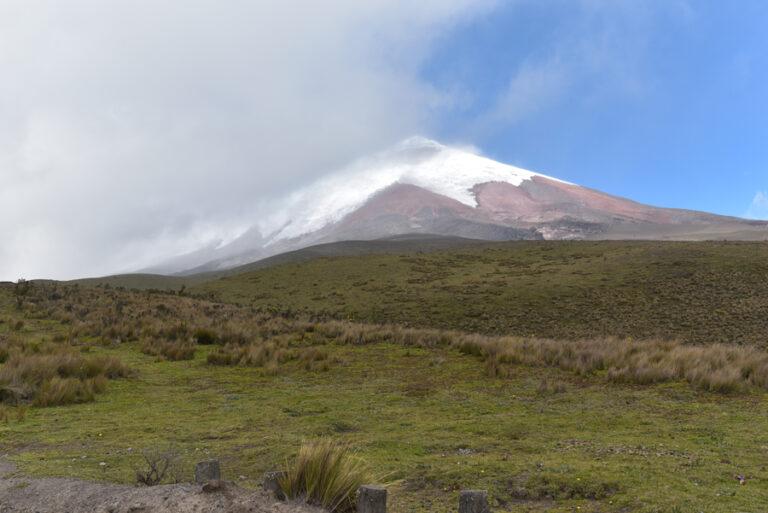 Lire la suite à propos de l’article Cotopaxi, les prairies herbeuses du paramo autour du volcan