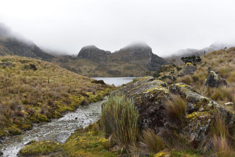 Lire la suite à propos de l’article Parque nacional Cajas, lagunas Toreadora et Llaviulo