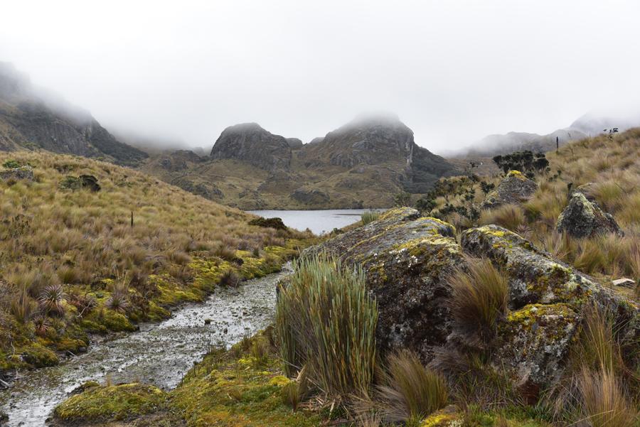 Lire la suite à propos de l’article Parque nacional Cajas, lagunas Toreadora et Llaviulo