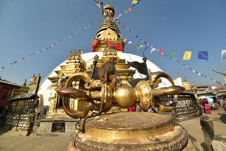 Lire la suite à propos de l’article Vallée de Katmandou, à l’assaut du Monkey Temple