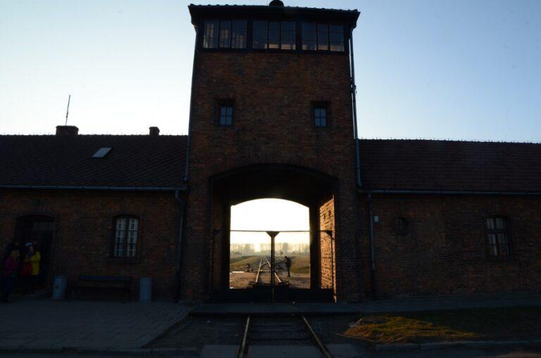 Lire la suite à propos de l’article Auschwitz II Birkenau, chambres à gaz et solution finale