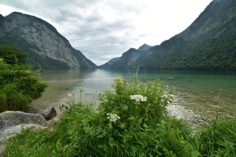 Lire la suite à propos de l’article Mes incontournables en Allemagne