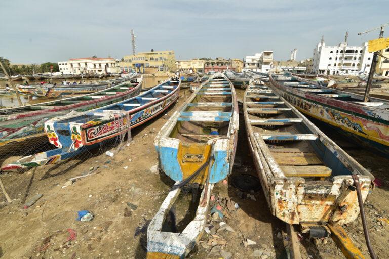 Lire la suite à propos de l’article Saint-Louis, au milieu des pirogues du port