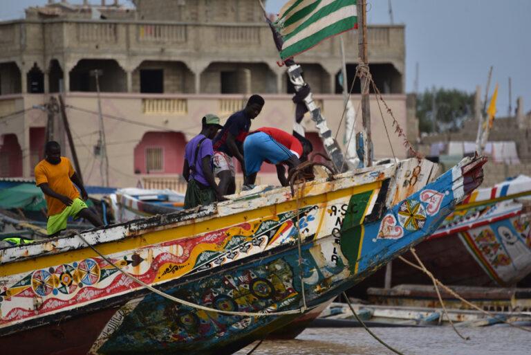 Lire la suite à propos de l’article Langue de Barbarie, en descendant le fleuve Sénégal