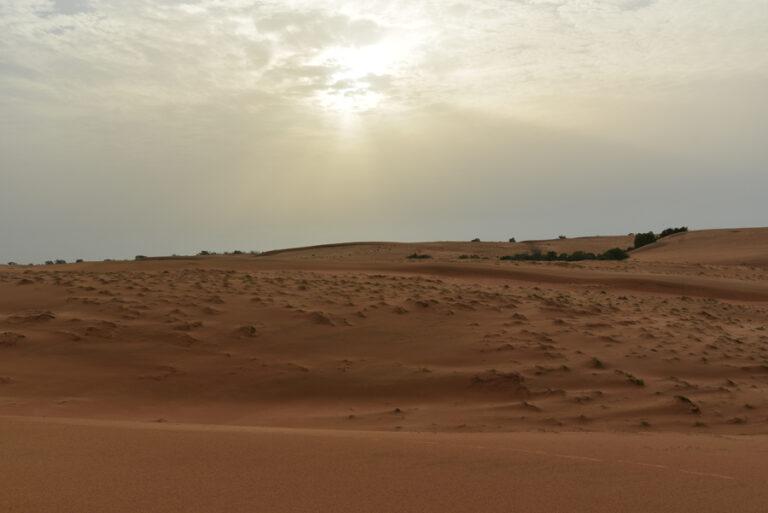 Lire la suite à propos de l’article Désert de Lompoul, à dos de dromadaire