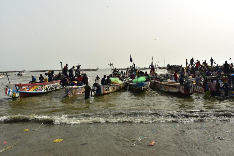 Lire la suite à propos de l’article Effervescence autour du port de pêche de Mbour