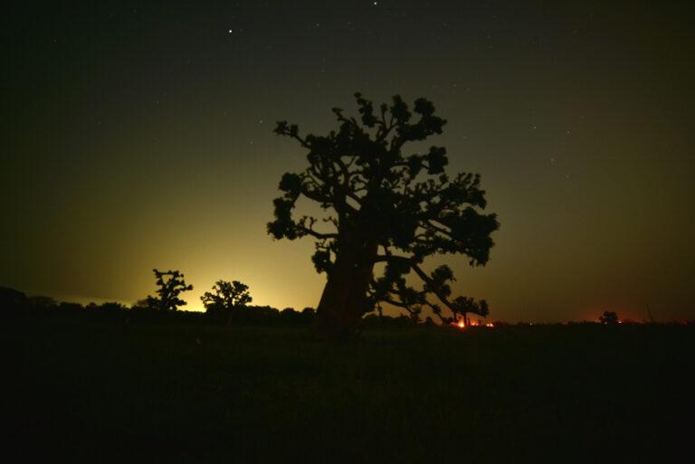 Lire la suite à propos de l’article Sénégal – Toutes mes astuces et conseils