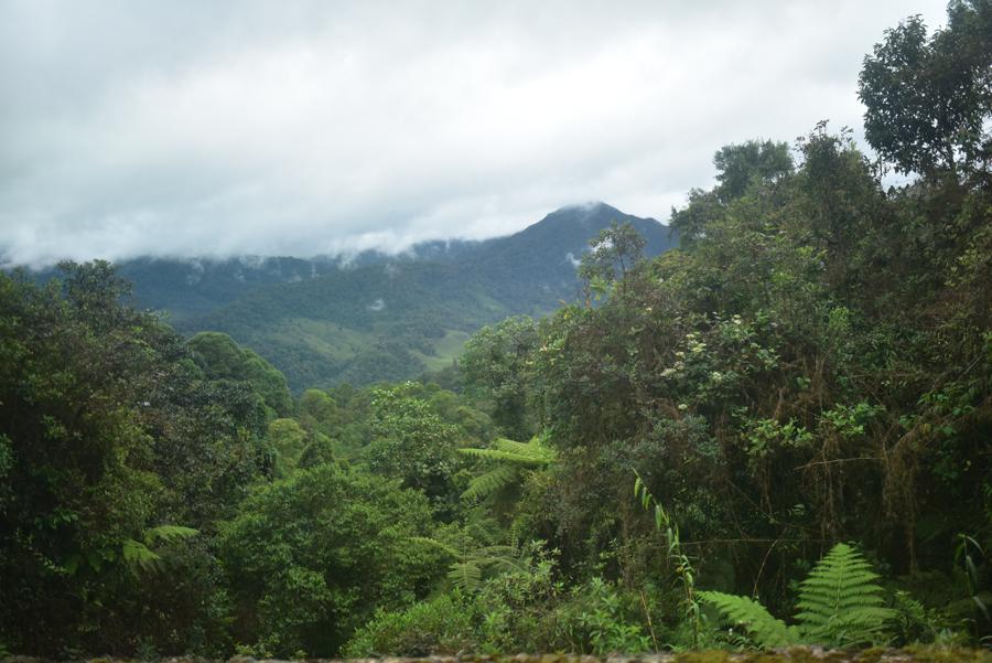 Lire la suite à propos de l’article Sur la route chaotique qui mène à San Agustin