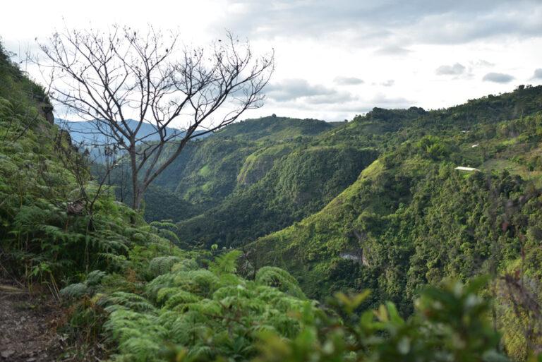 Lire la suite à propos de l’article San Agustín, une balade à cheval dans la vallée