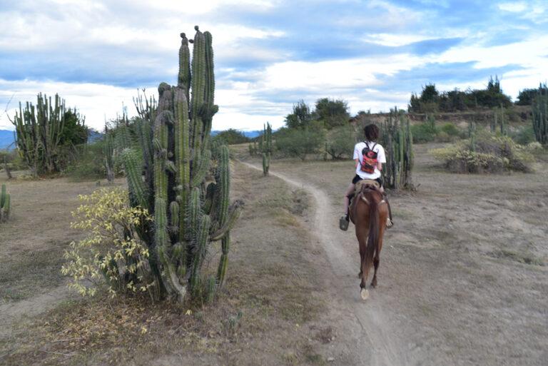 Lire la suite à propos de l’article Vivre le Far West à cheval au milieu du désert de Tatacoa