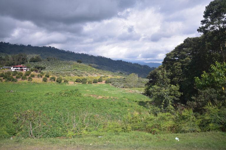 Lire la suite à propos de l’article Adieu Tatacoa, sur la route de Bogota