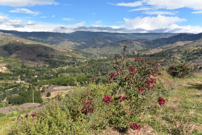 Lire la suite à propos de l’article De Raquira à Villa de Lleyva, la vallée de la Candelaria
