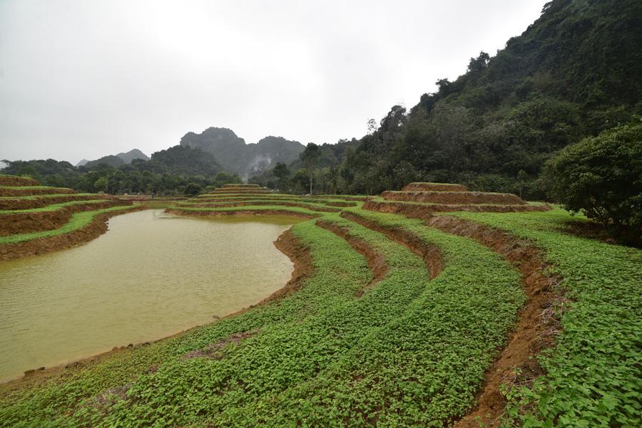You are currently viewing Parc national de Thung Nham, la réserve de la vallée des oiseaux