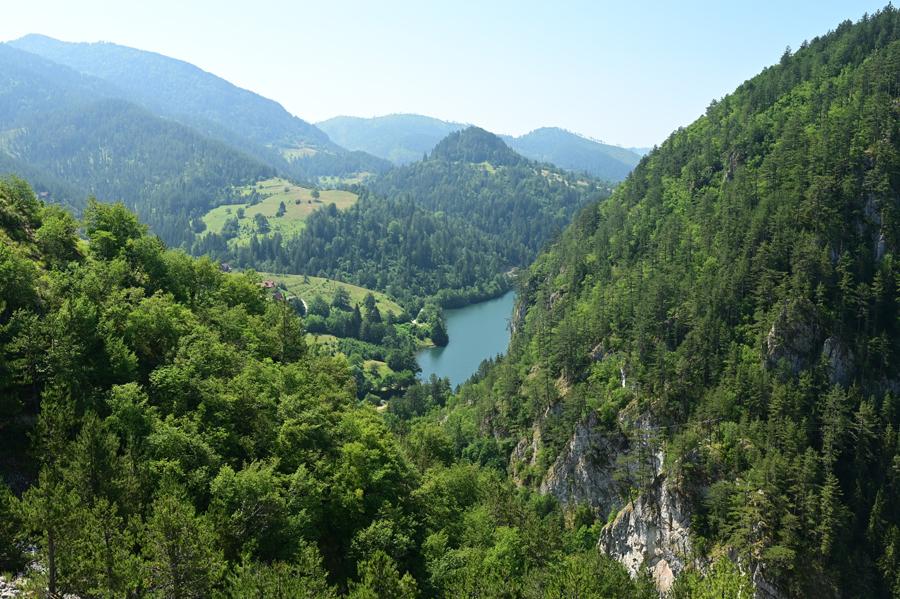 Tara - Parc