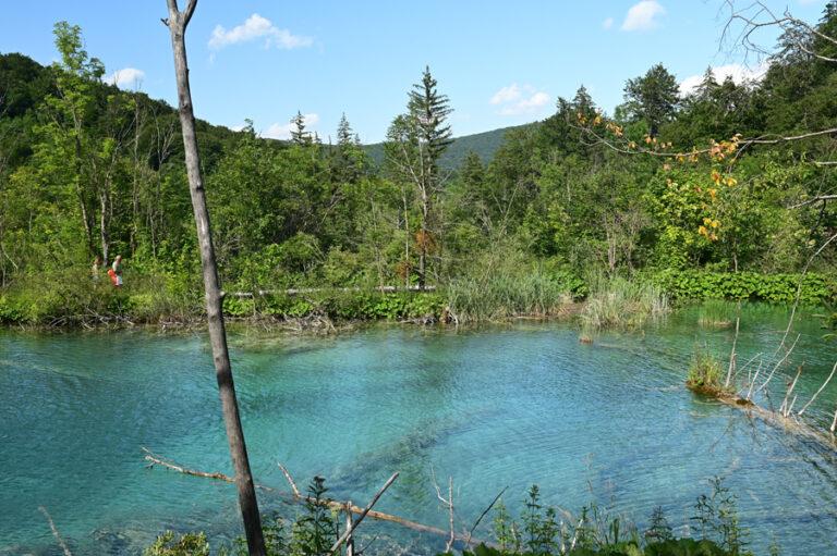 Lire la suite à propos de l’article Parc national des lacs de Plitvice, une succession de lacs et de cascades