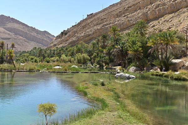 Lire la suite à propos de l’article Wadi Bani Khalid, un petit bain dans les piscines naturelles